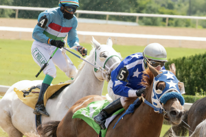 The ultimate guide to betting on horse racing